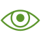 Retina